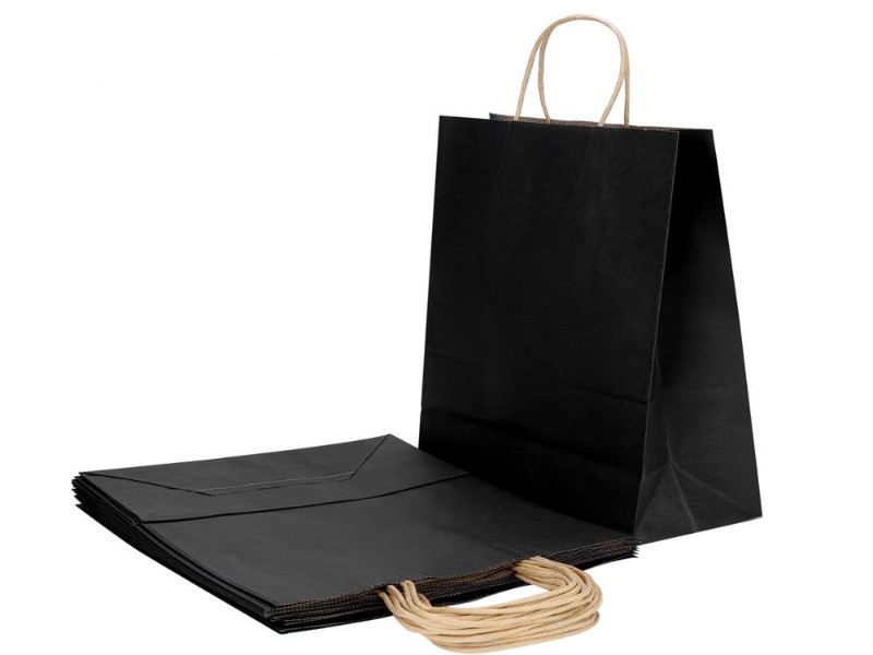 Paper Bags Gift Bags 10PCs with Twisted Handles