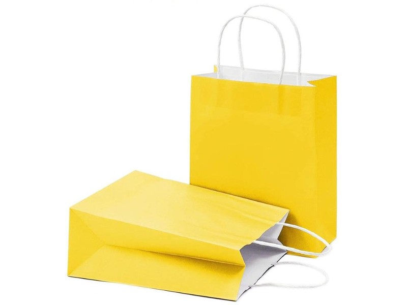 Paper Bags Gift Bags 10PCs with Twisted Handles