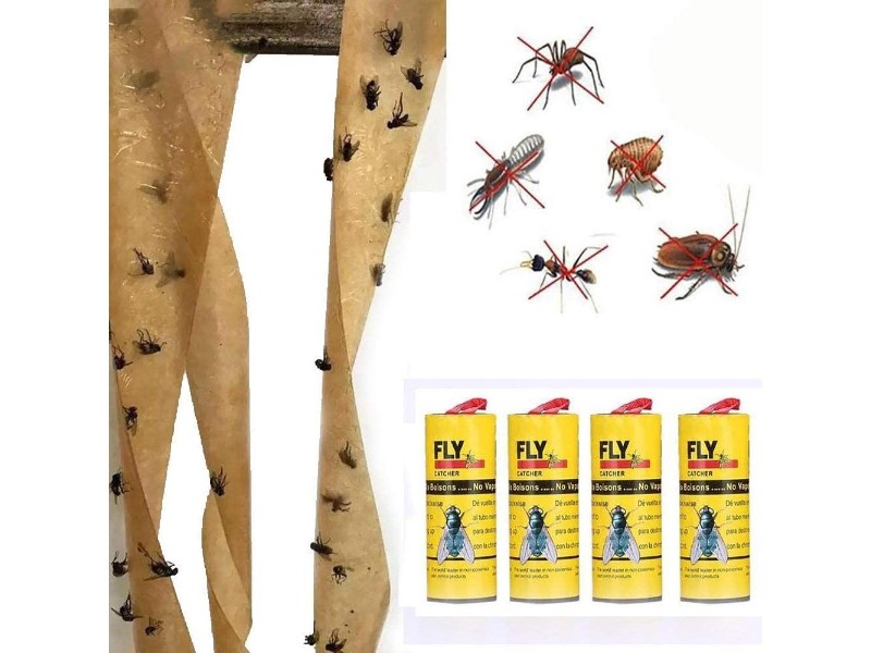 Insect Buy Fly Glue Paper Catcher Trap 12PCS