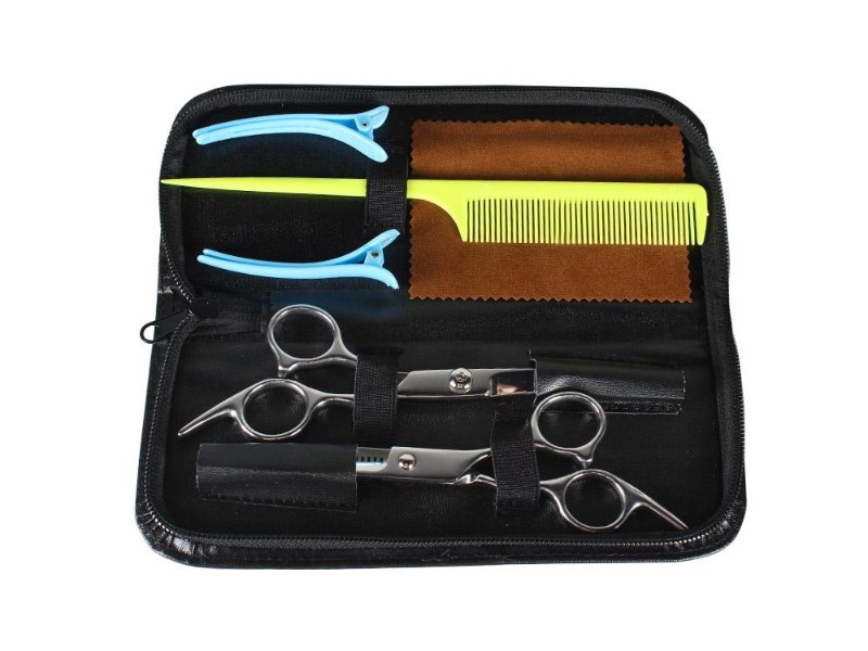 Professional Hairdressing Scissor & Thinning Shear Set