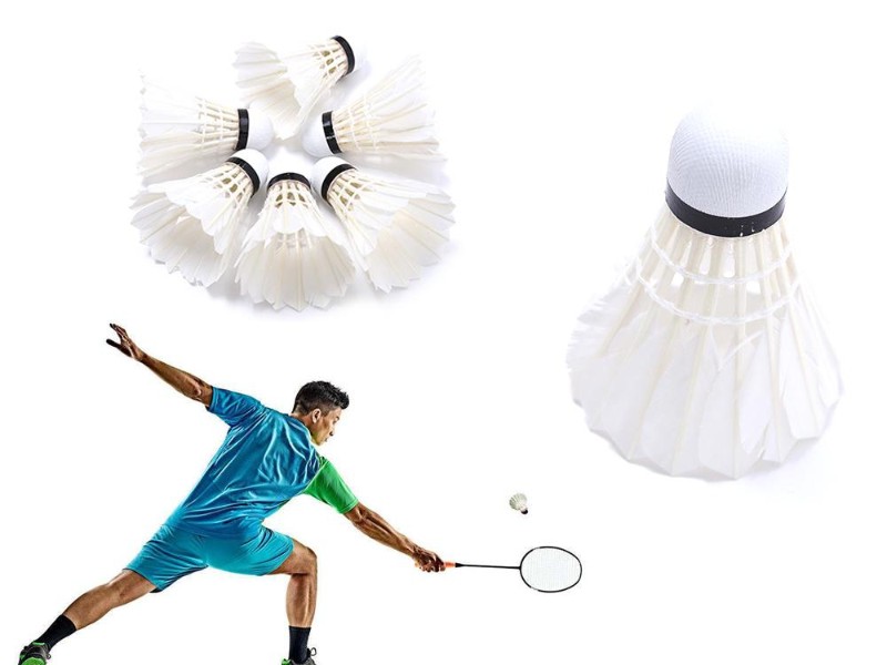 Feather Shuttlecocks Badminton Balls 12PCs