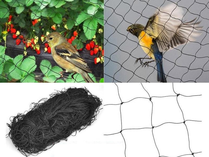 Black Nylon Bird Netting 15m x 15m