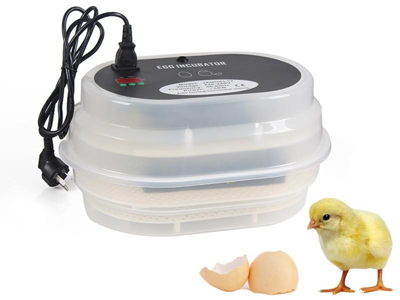 Egg Incubator Automatic Digital Poultry Hatch 12 Eggs
