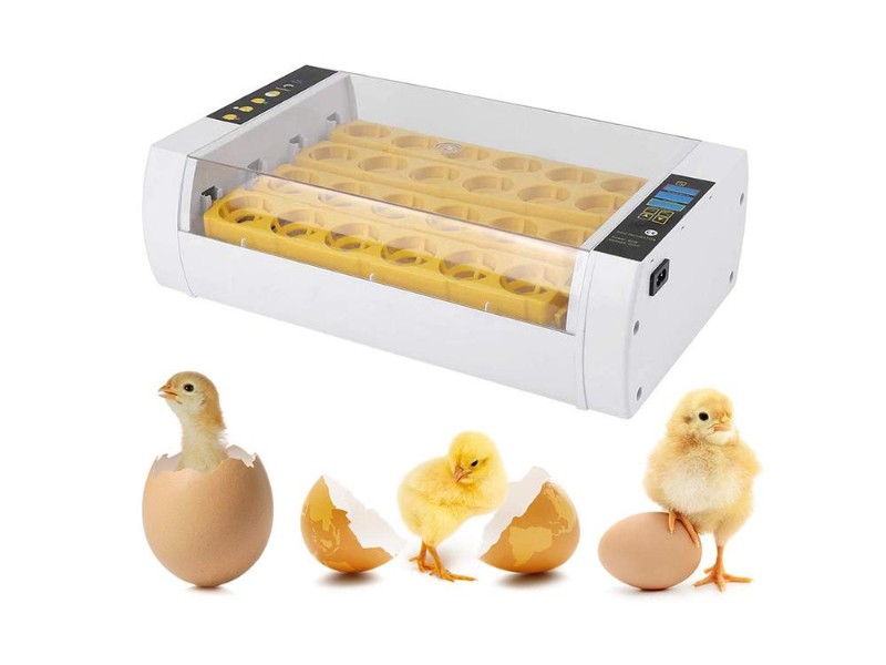 Egg Incubator, Automatic Egg Incubator 24 Eggs
