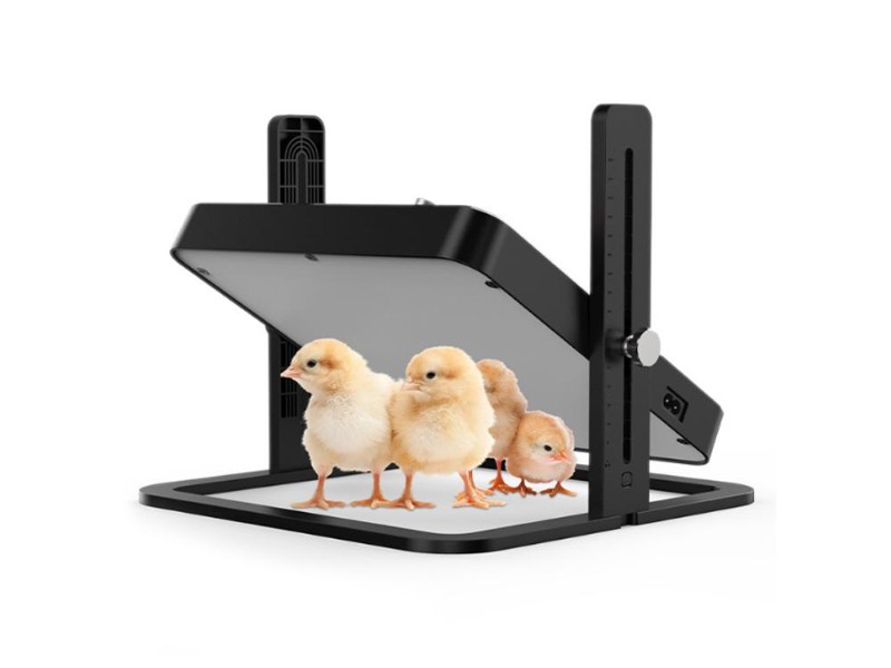 Chick Brooder Heater NZ | Adjustable Temp & Height for 15 Chicks