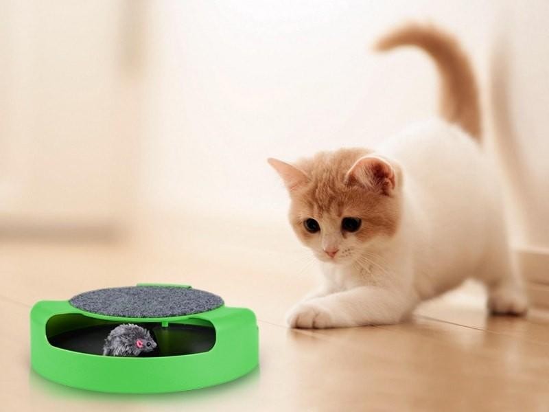 Puzzle Scratching Board, Cats Toy