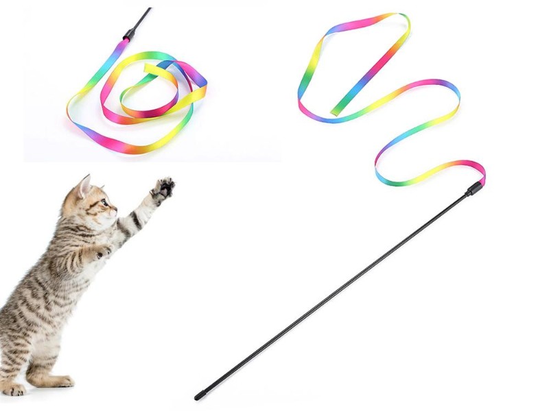 Rainbow Cat Teaser Toy