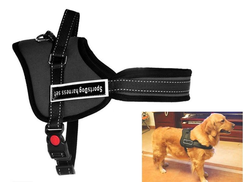 Dog Harness Multipurpose Nylon Pet Leash Heavy Duty
