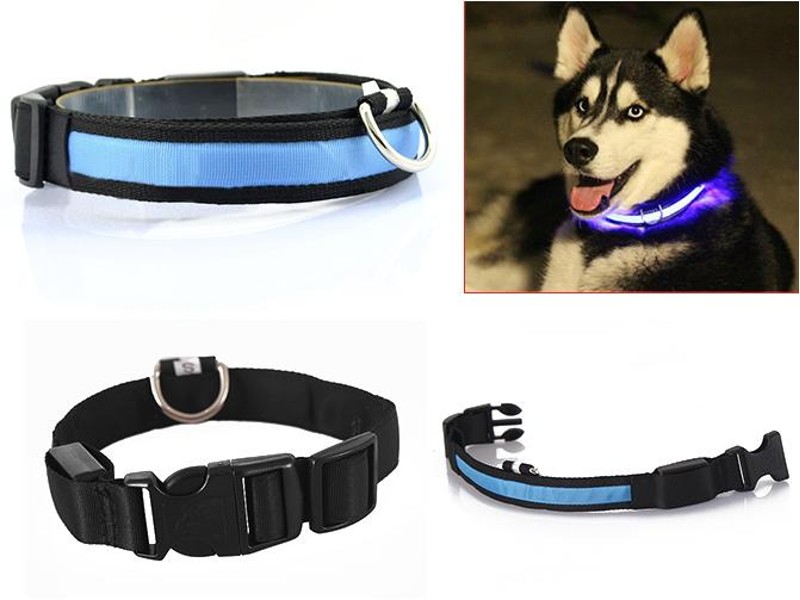 LED Dog Pet Flashing Light Up Safety Collar Blue L