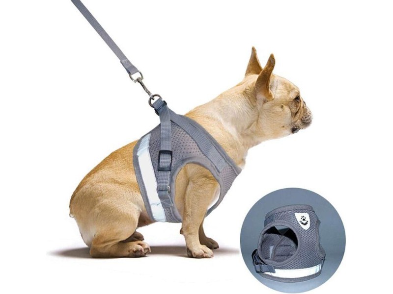 Reflective Dog Vest Harness Pet Leash  M