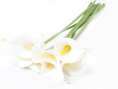 Calla Lily Artificial Flower(White)
