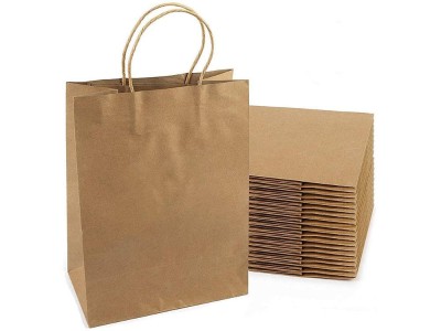 Paper Bags Gift Bags 10PCs with Twisted Handles