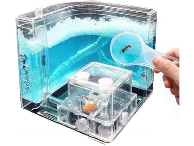 Ant Castle Ant Farm Castle