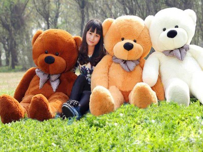 Teddy Bear Giant Big Plush Sleepy Bear Light Brown