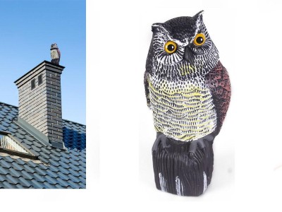 Owl Bird Scarer with Moveable Head