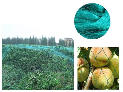 Green PE Bird Netting 10 x 4m