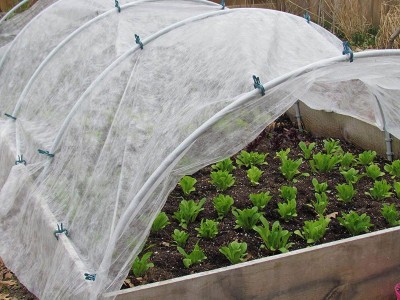 Cold Weather Plant Cover Plant Protection Blanket 2x10m
