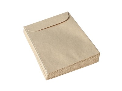 20PCS Kraft Paper Seed & Coin Envelopes 8x12cm