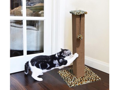 Pet Cat Scratching Post