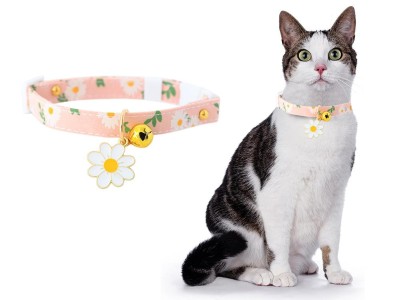 Pet Cat Collar