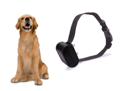 The Shock Collar for Dog Fence