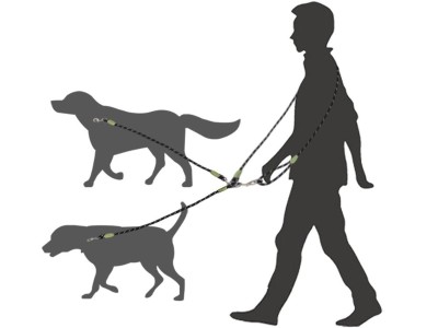 Hands-Free Dog Leash for Walking, Running & Hiking