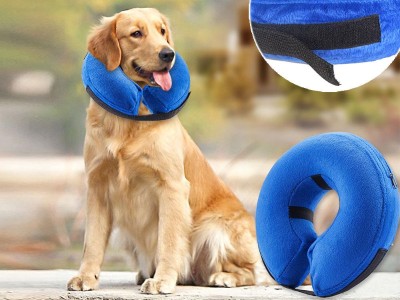 Protective Inflatable Collar for Dogs and Cats