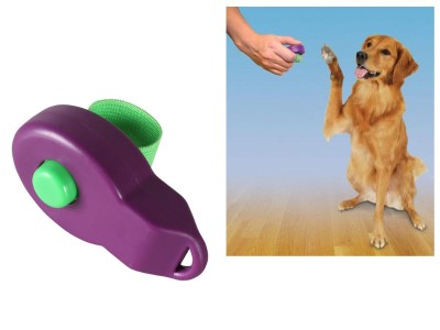 Pet Training Clicker - Purple