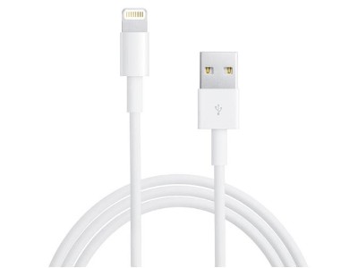 USB 8 Pin Sync & Charger Cable for iPhone 5/ 5s/6/6S