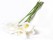 Calla Lily Artificial Flower(White)