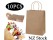 Paper Bags Gift Bags 10PCs with Twisted Handles