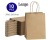 Paper Bags Brown Gift Bags 10PCs Large