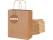 Paper Bags Brown Gift Bags 10PCs Large