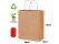 Paper Bags Brown Gift Bags 10PCs Large