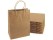 Paper Bags Gift Bags 10PCs with Twisted Handles