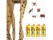 Insect Buy Fly Glue Paper Catcher Trap 12PCS