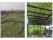 2x3m Camo Netting - Woodland Camouflage for Hunting & Sunshade
