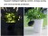 NEW Waterproof Solar Flower Pot Light