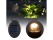 NEW Waterproof Solar Flower Pot Light