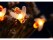 30 LED Solar Garden Light Honey Bees String Lights