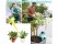 12pcs Self Watering Device Plant Watering System