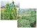 Gardening Net Plant Climbing Net