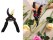 Pruning Shears Garden Scissors