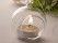 Ball Shaped Cute Clear Glass Vase for Decoration