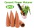 6pcs Self Watering Spikes Plant Watering Device