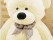 Lovely Giant Teddy Bear 1M White
