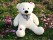 Lovely Giant Teddy Bear 1M White