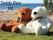 Lovely Giant Teddy Bear 1M White