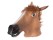 Horsehead Mask with Two Hooves