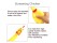 Screaming Rubber Chicken Dog Toy | Squeaker & Chew Toy | 30cm